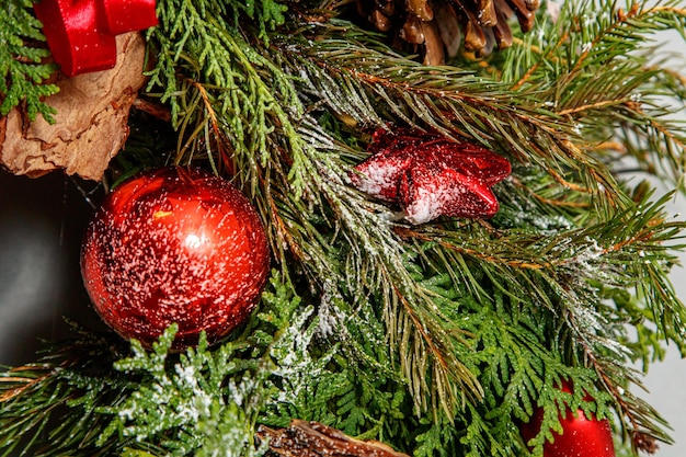 Christmas composition Wreath of Christmas tree branches