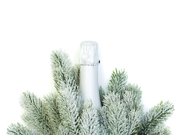 Christmas concept. Sparkling wine bottle and green Xmas tree branch isolated on white