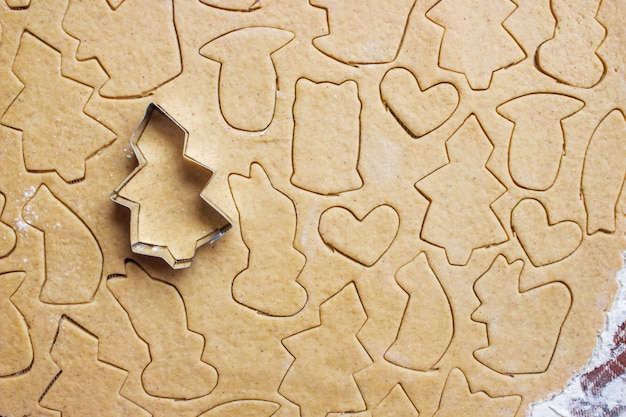 I biscotti di natale sono fatti in casa. messa a fuoco selettiva cibo.