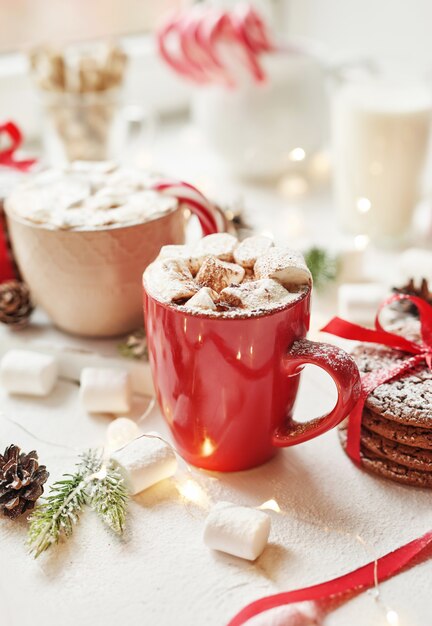 Biscotti di natale, latte, cacao, marshmallow, caramelle su un piatto bianco vicino alla finestra