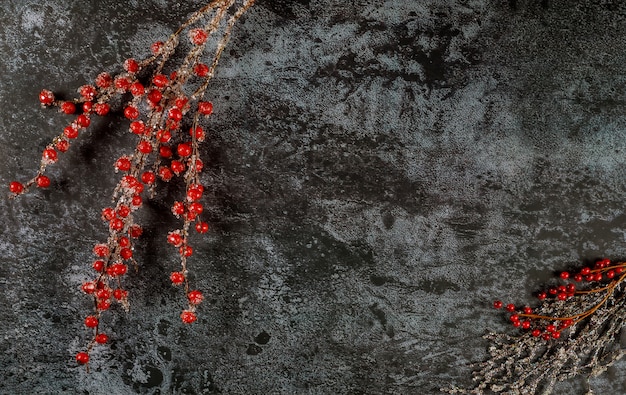 Christmas dark surface with frozen red berry branches