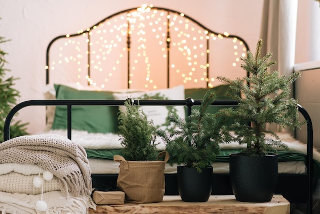 Decorazioni natalizie soggiorno splendidamente decorato con un albero di natale in vaso e un plaid