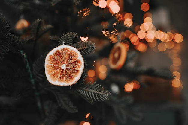 クリスマスの装飾は木の上でオレンジ色に乾燥しました