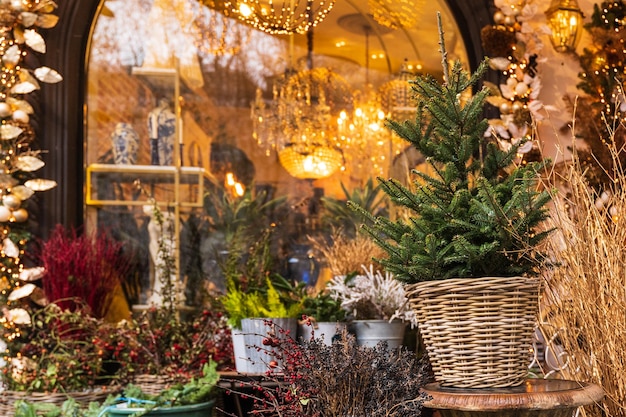 Foto decorazione natalizia dell'ingresso del negozio di regali natalizi figure decorative per il natale