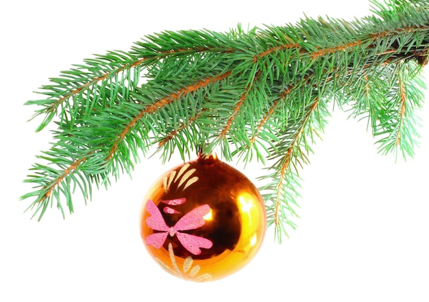 Christmas decoration-glass  ball on fir branches.Isolated