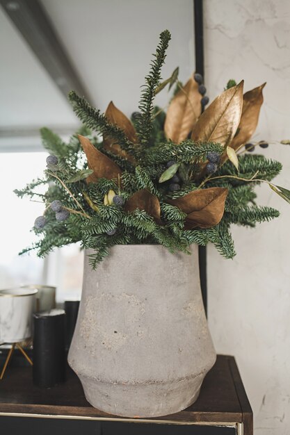 Christmas decoration. Green spruce in a vase