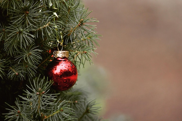 Foto alberi da decorazione natalizia