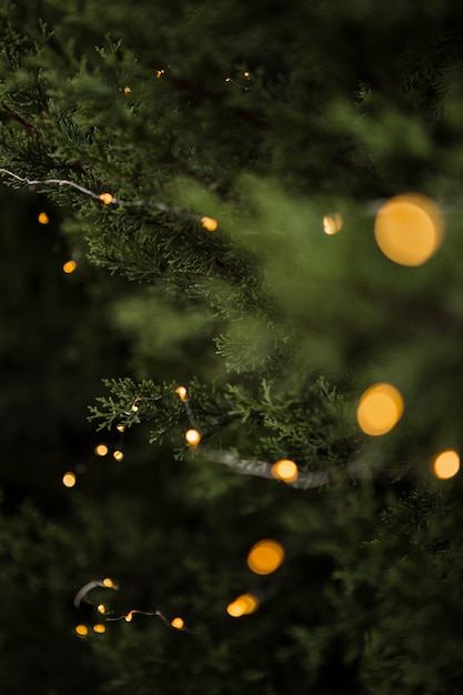 Foto decorazioni natalizie con bellissimo albero e luci
