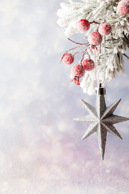 Christmas decoration with fir branches