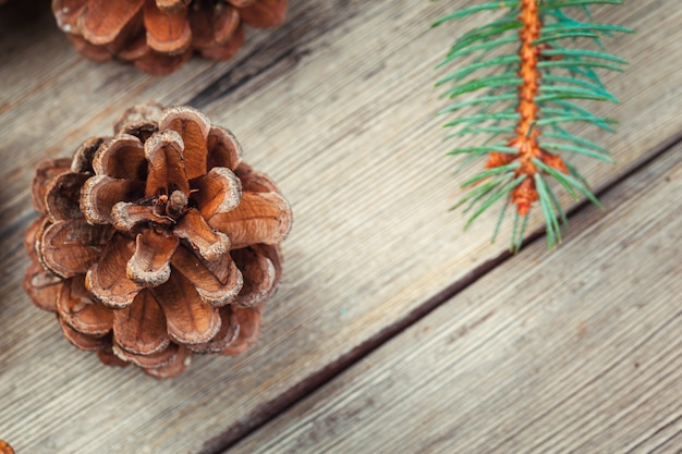 Christmas decoration with fir tree and pine cones on white wooden