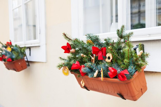 窓に松の枝が付いたクリスマスの飾り。