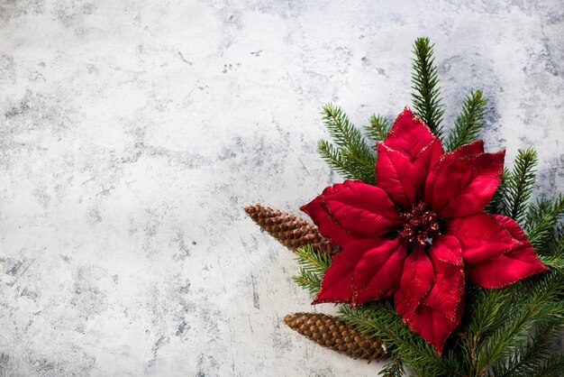 ポインセチア、ライトグレーの背景に円錐形のモミの枝とクリスマスの装飾。お祝いの新年の背景、上面図、コピースペース
