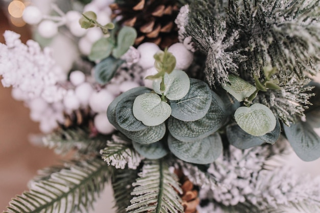 写真 クリスマスの装飾クリスマスの緑の木