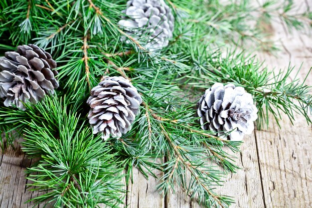 Christmas decorations evergreen fir tree branch and white pine cones closeup on wooden background