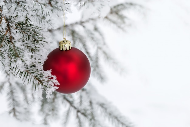 Christmas decorations on the pine branch