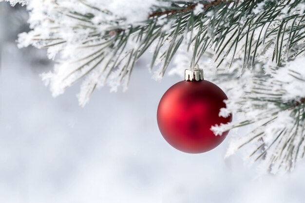 Christmas decorations on the pine branch