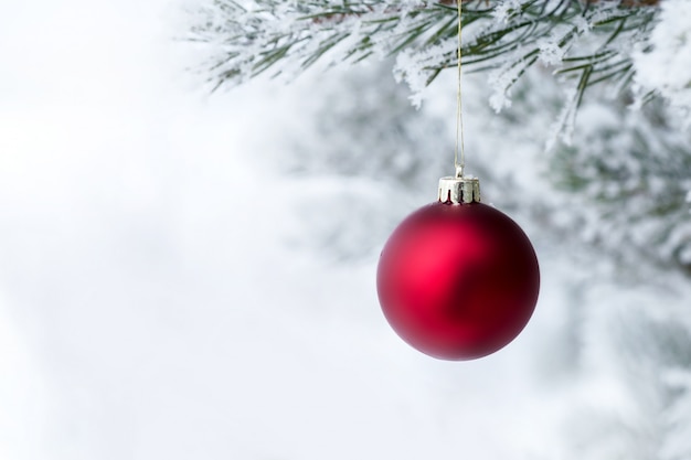 Photo christmas decorations on the pine branch