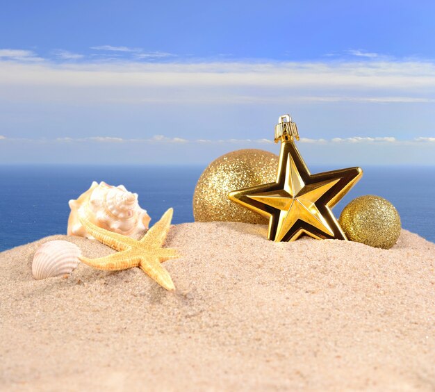 Christmas decorations seashells and starfish on a beach sand against the background of the sea