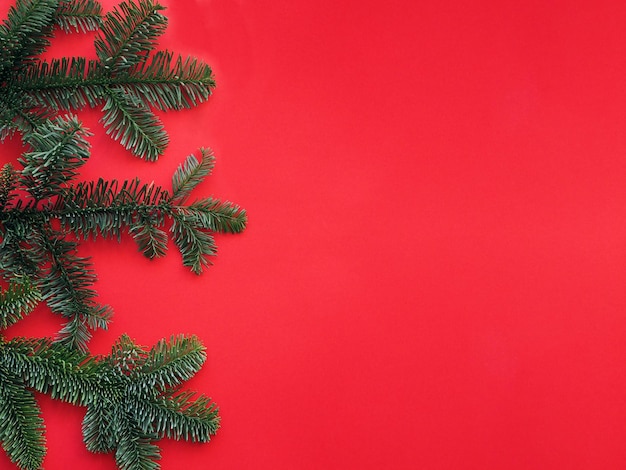 전나무 가지가 있는 크리스마스 장식은 붉은 배경 위에 놓여 있다