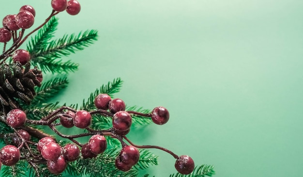 빨간 딸기와 아름 다운 민트 배경에 전나무 가지 크리스마스 장식.