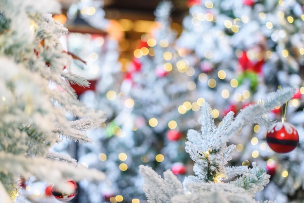 사진 하얀 눈 나무에 크리스마스 요정 빛입니다. 흐리게 추상적인 배경입니다.