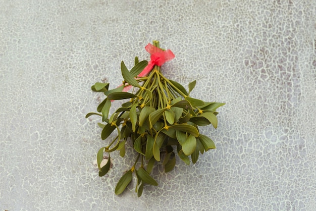 christmas festive background with green mistletoe hanged on the old cracked door background