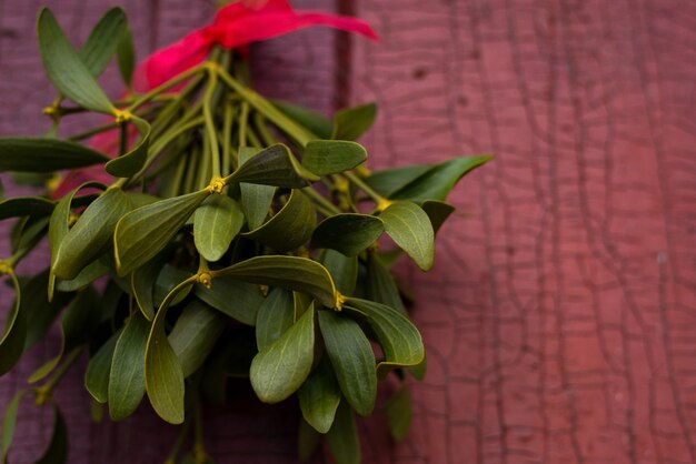 Sfondo festivo di natale con vischio verde appeso sullo sfondo della vecchia porta incrinata