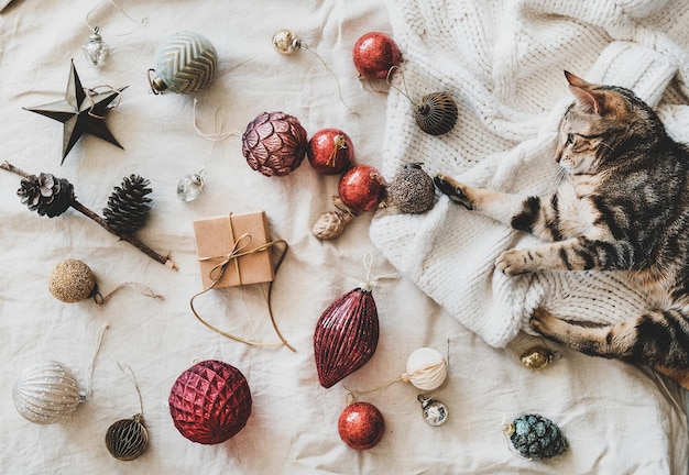 Christmas festive decoration toys and home tiger cat top view