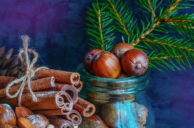 Christmas fir tree branches  cinnamon and acorns