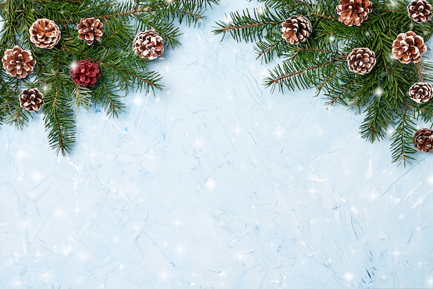 Christmas fir tree branches with cones on blue background. Copy space, snow texture