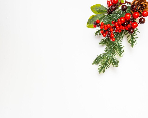 Фото Рождественская ель на белом фоне пространство для текста