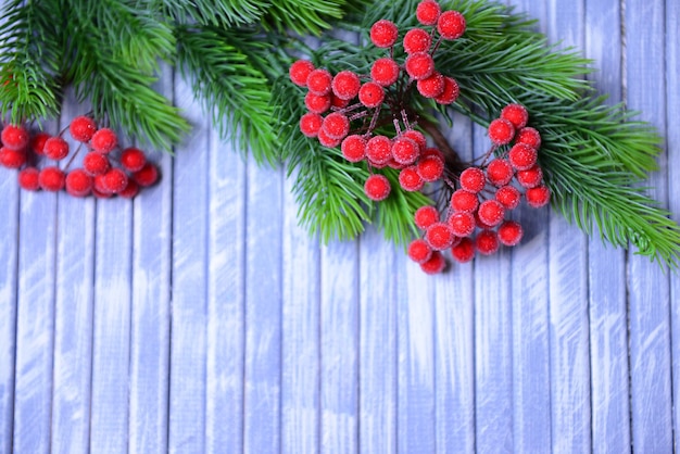 Christmas fir tree and red berries on wooden background