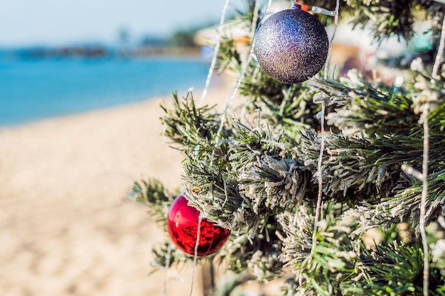 砂浜のクリスマスのモミの木新年のお祝い