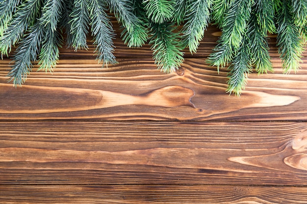 Christmas fir tree on the wooden board