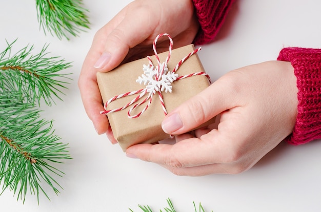 Christmas gift box in female hands over white background with pine tree branches