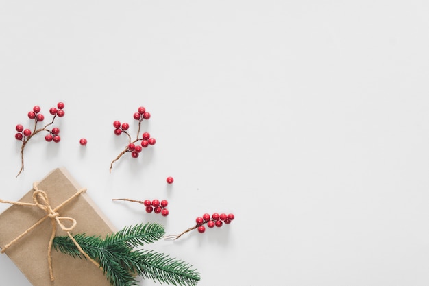 사진 소나무 가지, 열매와 밧줄으로 흰색 배경에 크리스마스 선물