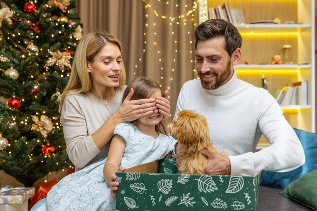 Christmas gift surprise parents gave their daughter a small dog\
for the new year dad holds a box