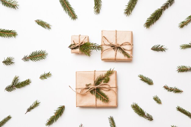 Christmas gift, word winter made of fir branches