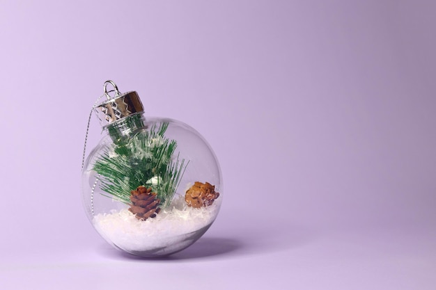 Christmas glass ball with a fir branch and snow inside