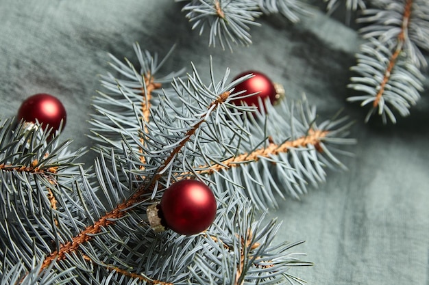 Christmas holiday background Christmas tree branches and red balls decorations