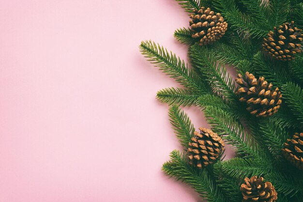 광고 텍스트를 위한 복사 공간이 있는 크리스마스 휴일 배경 전나무 가지와 색상 배경에 소나무 콘 플랫 위치 평면도