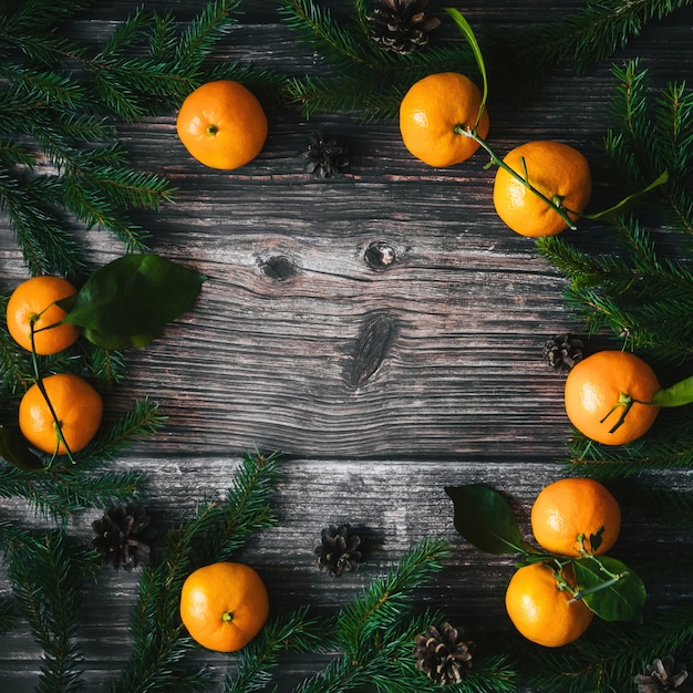 Christmas holiday card with tangerines and fir branches and pine cones