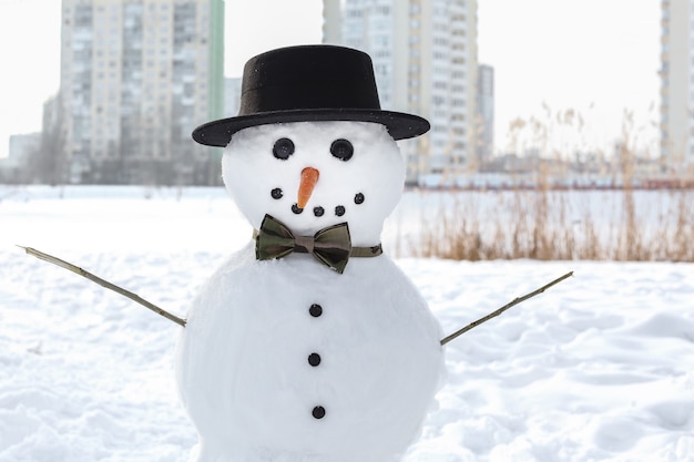 クリスマスの休日のコンセプト。冬の面白い雪だるま