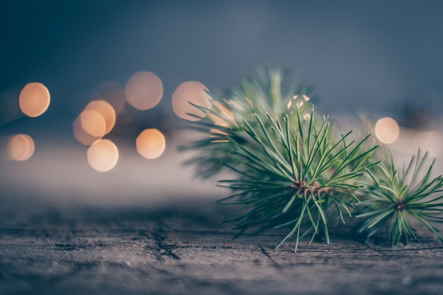 Christmas holiday concept withfir tree branch and magic bokeh. Copy space. Abstract Background