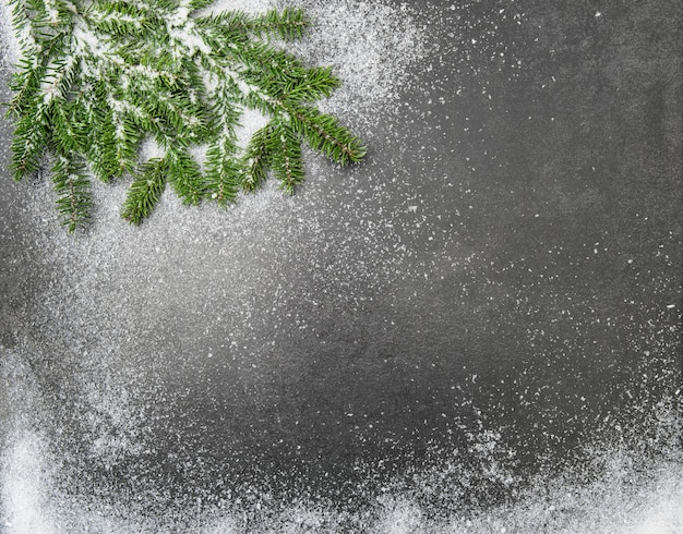 Christmas holidays background Pine branches snow