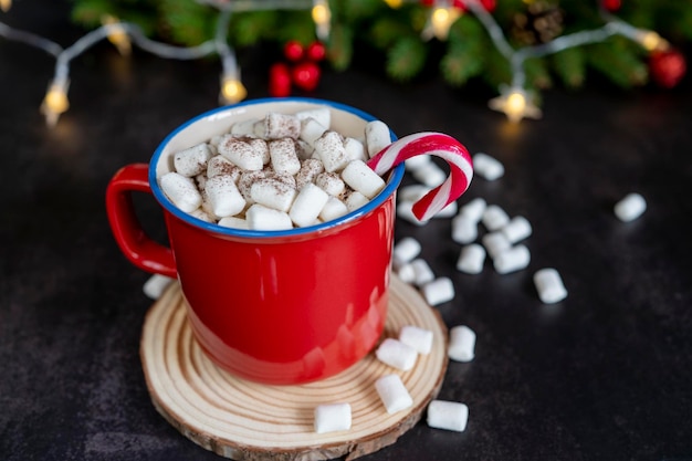 Christmas hot chocolate with marshmallow