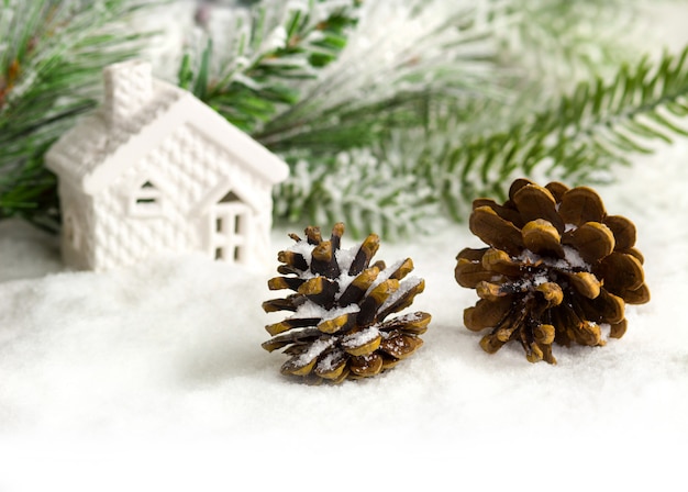 Christmas house, pine cones and branches close up isolated on white