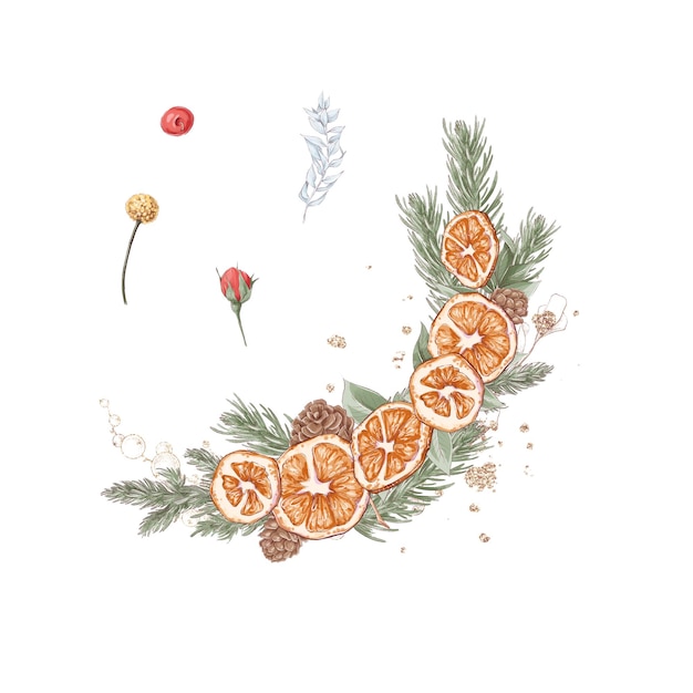 Рождественский набор иллюстраций букета зимних цветов оранжевого цвета