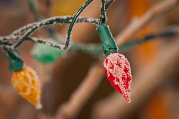 Photo christmas light on the tree.