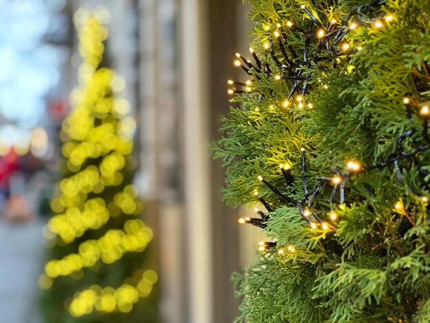 Christmas lights outdoor in a shopping mail